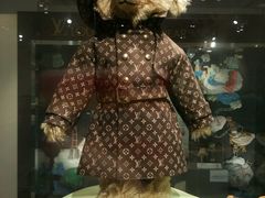 -济州岛泰迪熊博物馆