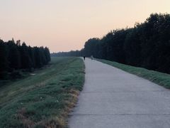 -洪湖生态旅游区