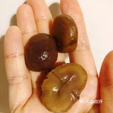 一定是栗子控的墙头
