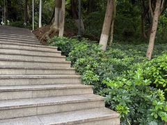 -仙岳公园