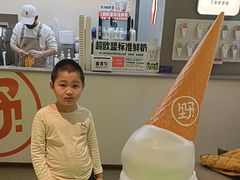 -野人先生现做冰淇淋(北京悠唐购物中心店)