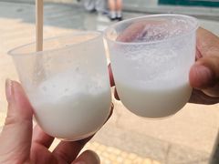 -洪馨椰子