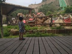 -古柏渡飞黄旅游区