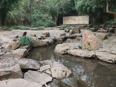 -兰亭风景区