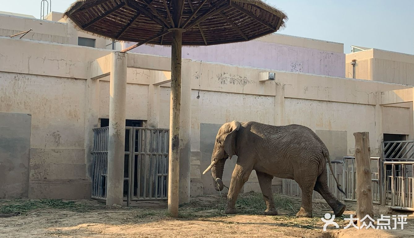 地鐵四號線動物園站下車即可到達