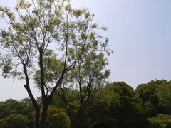 -明故宫遗址公园