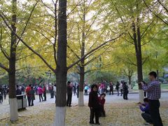 -辽宁大学(崇山校区)