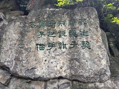 -西安曲江寒窑遗址公园