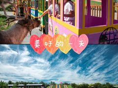 -北京鹿世界主题园