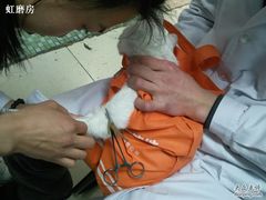 -纳吉亚猫专科动物诊疗中心(蒋宅口分院)