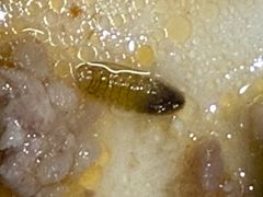 -顺旺基大厨现炒(凯德店)