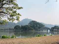 -顺峰山公园