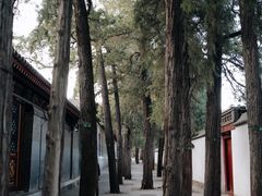 -北京颐和宾馆
