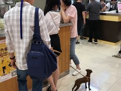 -天虹购物中心(石路店)