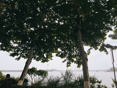 -东湖生态旅游风景区