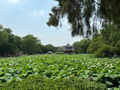 -莲池书院博物馆