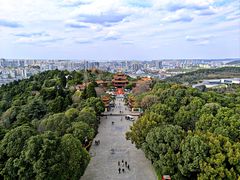 -富乐山