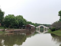 -上海海湾国家森林公园