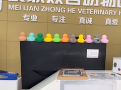 -美联众合爱康动物医院•复杂内科•肿瘤科•牙科•腔镜诊疗中心