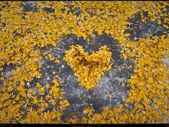 -金堂县云顶石城风景区