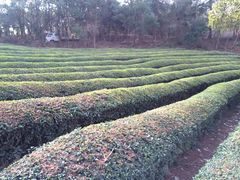 -敬亭山风景名胜区