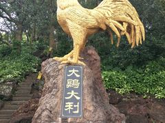 -海口火山口国家地质公园