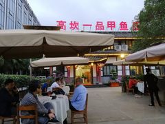 -高坎一品甲鱼庄(两河店)