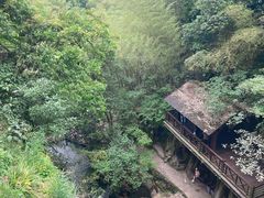 -莫干山风景区