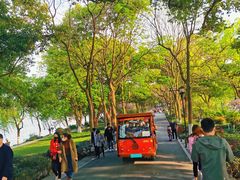 -苏堤停车场