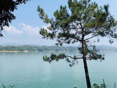 -广州市流溪河国家森林公园