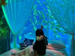 -南昌融创海世界