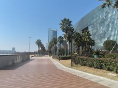 -金沙湖公园