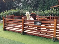 -阳朔悦榕庄·明月西餐厅&清风吧