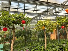 -南宫五洲植物乐园