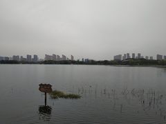-尚贤河湿地