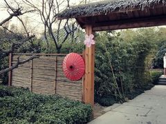 -郑州银基黄帝宫御温泉