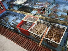 -南澳金浪海鲜全海景餐厅(海贝湾店)
