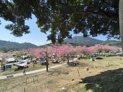 -风云岭森林公园