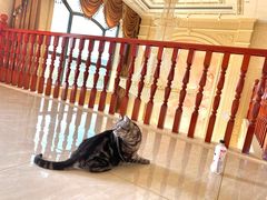 -雍和会海鲜姿造自助(湖东路店)
