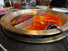 -杨家火锅(国美店)