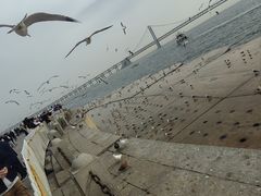 -星海广场