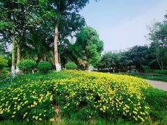 -府河摄影公园