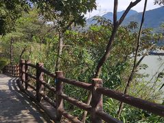 -羚羊峡古栈道森林公园