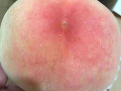 -老袁家蜜桃农场·阳山水蜜桃