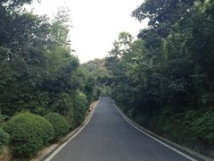 -方山风景区定林寺