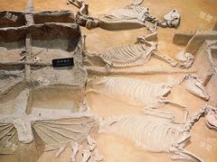 -洛阳周王城天子驾六博物馆