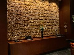 -新加坡乌节希尔顿酒店 (SG Clean)