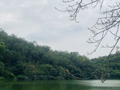 -李小龙乐园(顺德均安店)
