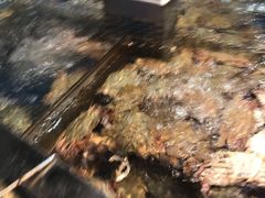 -盒马鲜生(莱蒙都会店)