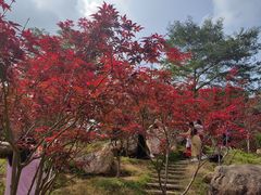-广州市帽峰山景区